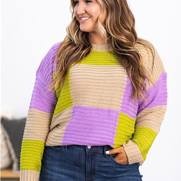 Lumiere Sweaters - New Orchid and Taupe Colorblock Sweater